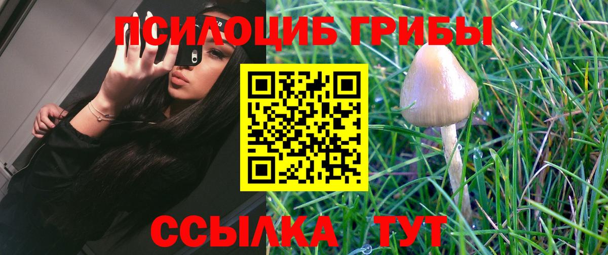 Галлюциногенные грибы Psilocybe  Вход с VPN  Жигулёвск 